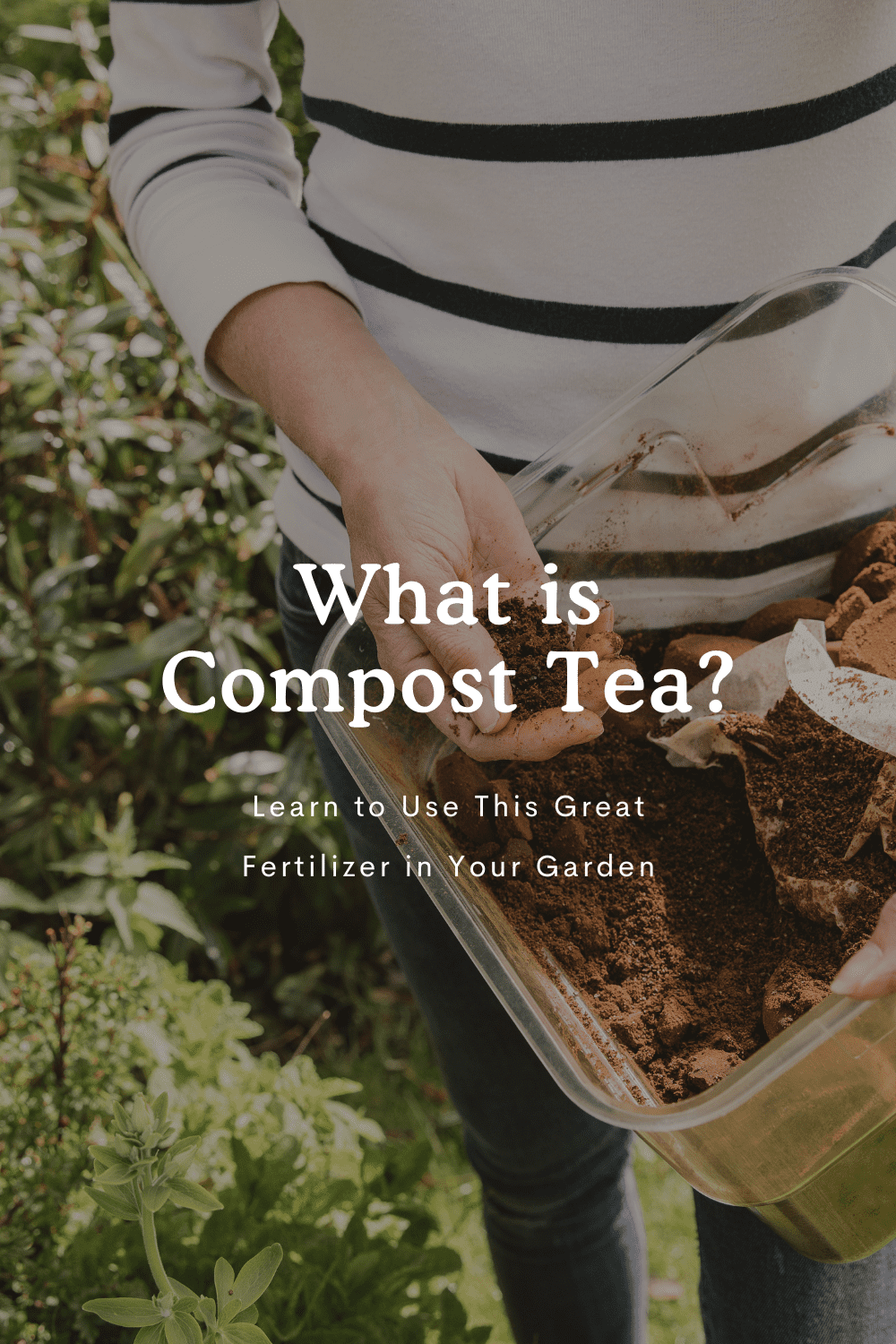 What is Compost Tea?