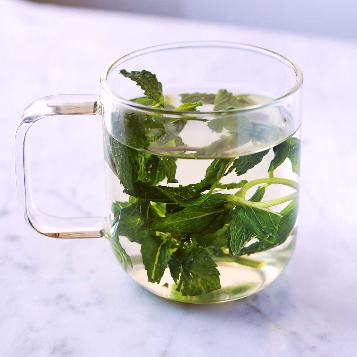 Fresh Mint Tea