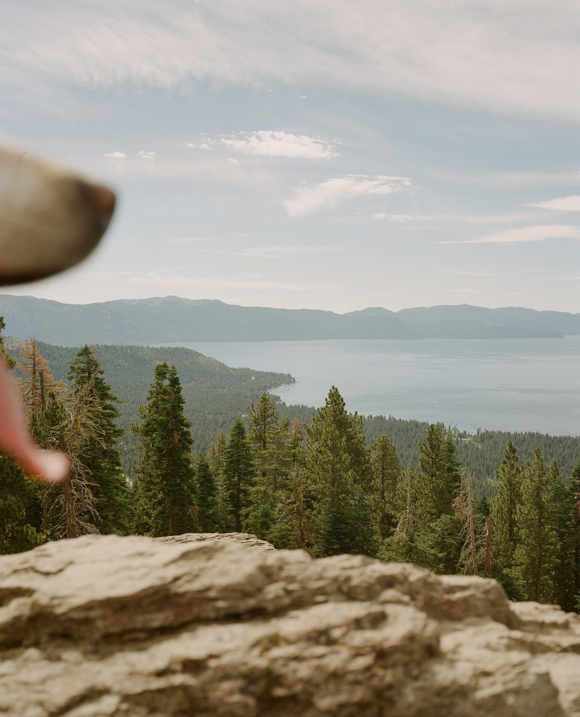 Have a Sweet Weekend.